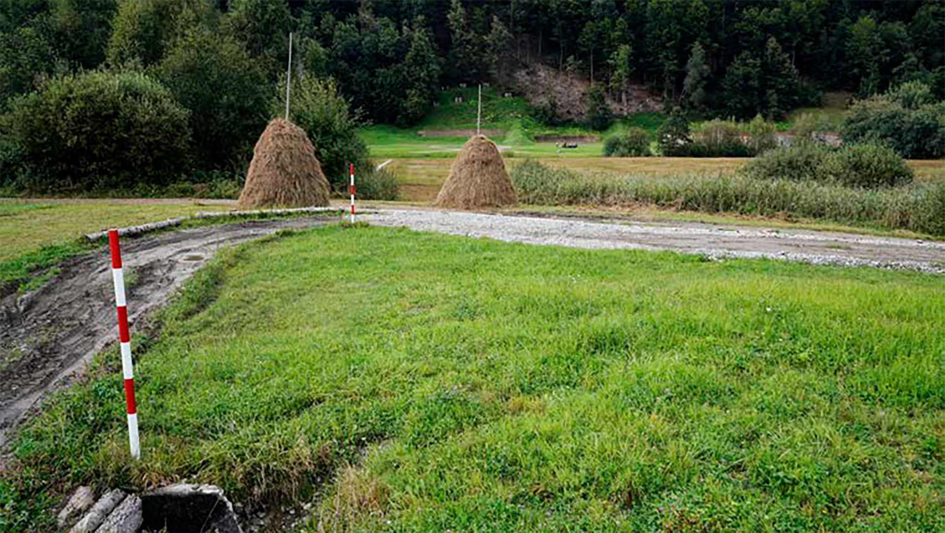 Das VBS erfasst und erhält die Vielfalt der Arten und ihrer Lebensräume auf den eigenen Arealen und fördert sie, wo dies verhältnismässig ist.