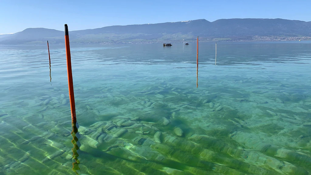 La piazza di tiro d’aviazione di Forel 